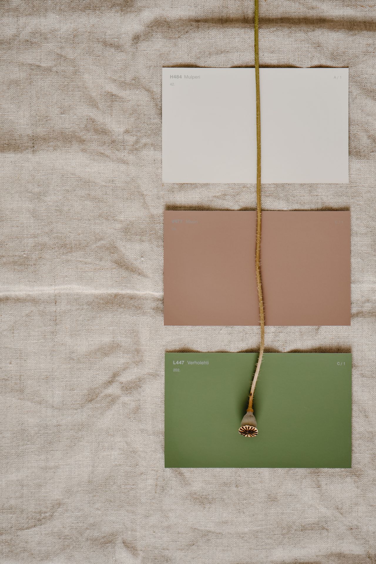 The 2027 Colours of the Year Are Landing — and Six Brands Just Disagreed